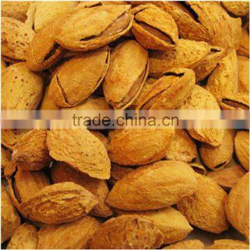 100% natural almond/badam of xinjiang china
