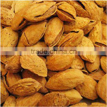 Almond Kernels/badam