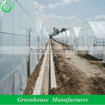 single span high tunnel greenhouse