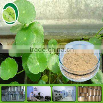 Asiaticosides 10%-90% Gotu kola Plant Extract