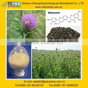 High Quality Liver Protection Product Milk Thistle Extract silymarin 80%, silybin 30%