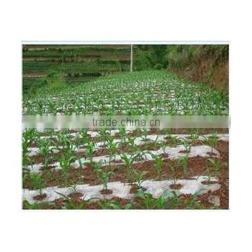 Agriculture mulch film with anti-uv