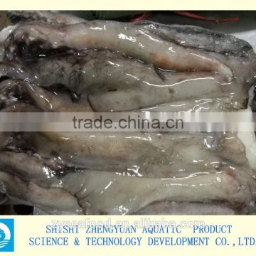 whole giant loligo Peru squid for canning