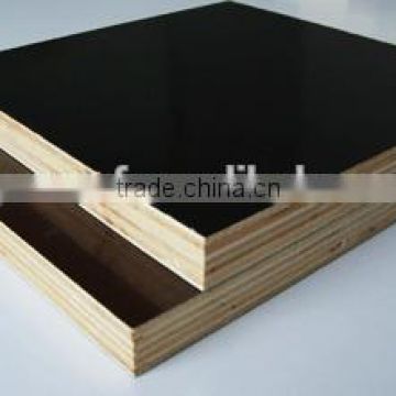 Construction plywood E1 emission for Shuttering work