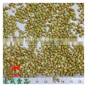Hulled Buckwheat Kernels green grains wholesale