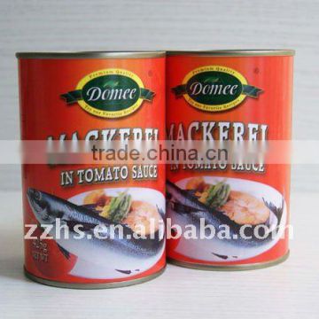 Canned Mackerel Fish in Tomato Sauce