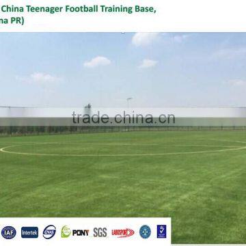 Fast Delivery PE Artificial Grass Turf with Custom Made Design