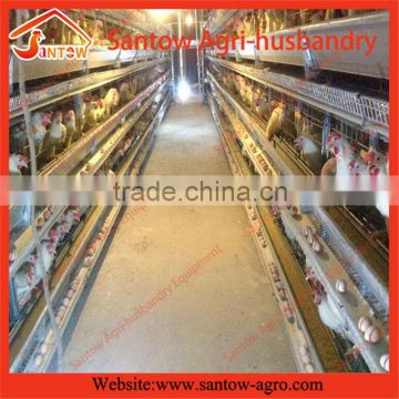 Stable steel structure chicken egg layer cage breeding cages