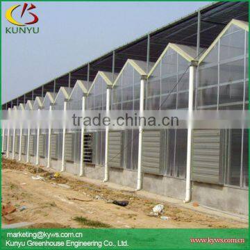 High-grade agricultural polycarbonate sheet greenhouse