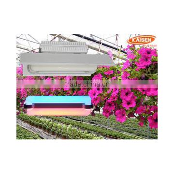 200w new product jiangsu red blue color full spectrum plant light