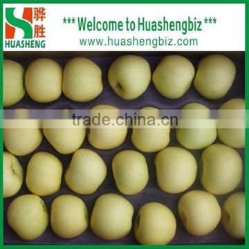 2016 Chinese golden delicious fresh apple with best quality