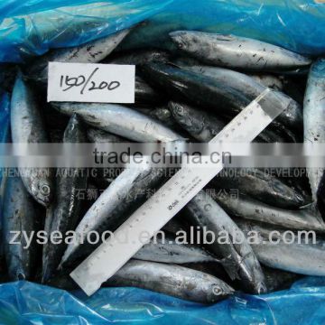 Export Chinese Frozen Seafood Frozen Bonito