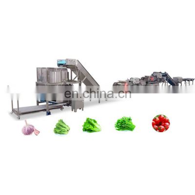 Fruits And Vegetables Washing Production Line Machines Chopped Vegetable Slicer Spiral Packaging Processing Line