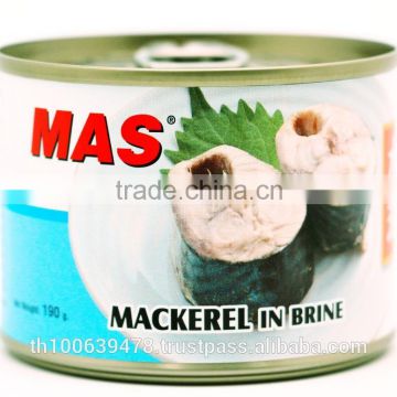 Canned Mackerel fish in Brine/Boiled Water (Saba)