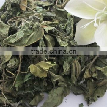 Mulberry leaf natural herbal tea