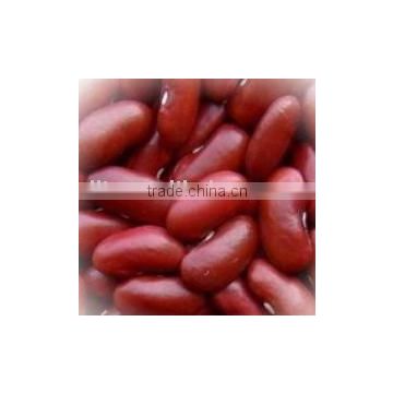 Red kidney Beans