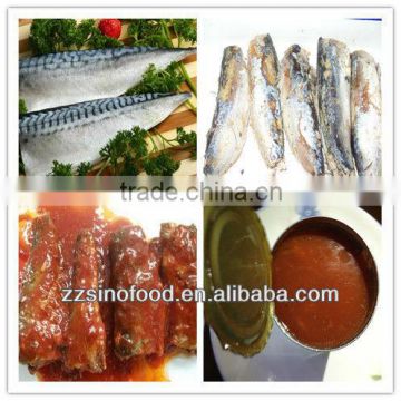 Rich Nutrition Canned Fish Canned Mackerel in Tomato Sauce