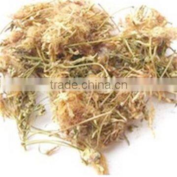 New Crop 2015 Chinese Flos Albiziae Dry Flower