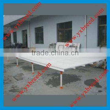 Good Environment for Chicken Poultry plastic board