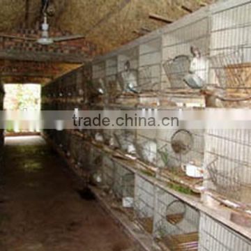 commercial rabbit farm cage