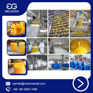 Fully Automatic Mango Juice Processing Plant Juice Making Machine