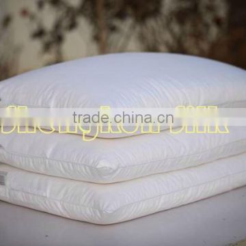 Economic Series Silk Pillow