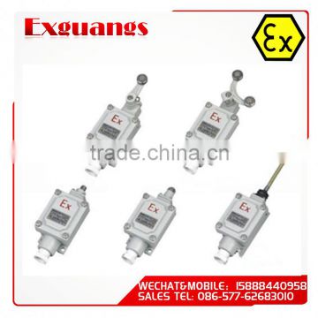 LX5/Dixk-series Explosion proof stroke switch