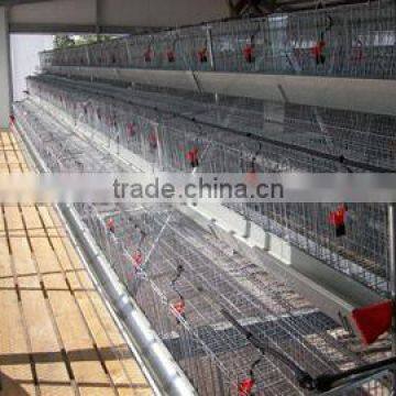 steel structure poultry house design