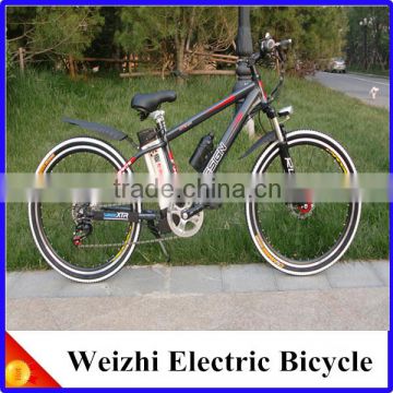 Weizhi Electric Bicycle