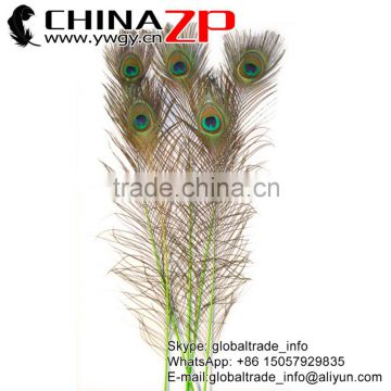 CHINAZP Crafts Factory Wholesale Decorative Full Eye Dyed Lime Green Peacock Feathers for Sale