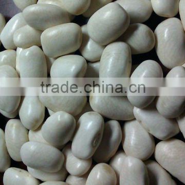 Medium white kidney bean 2010 crop, Heilongjiang origin, Hps)