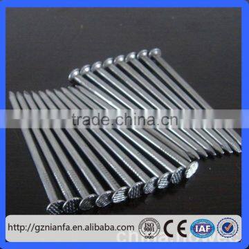 ISO Standard and Steel Material hardened steel concrete nails/Galvanized Steel Nails(Guangzhou Factory)