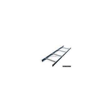 Ladder Cable Tray