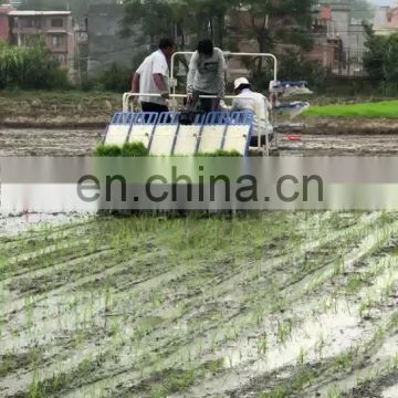 Rice transplanter 6 rows riding type paddy seeder
