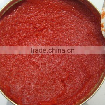 canned tomato paste 22-24%