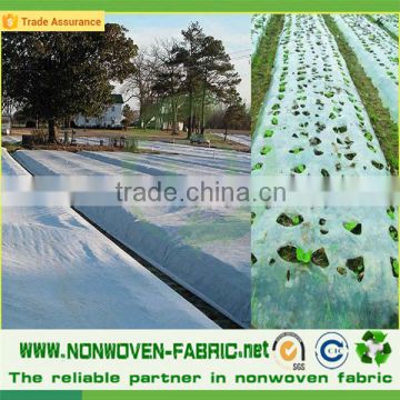 Agriculture crop cover nonwoven fabric, UV non woven fabric