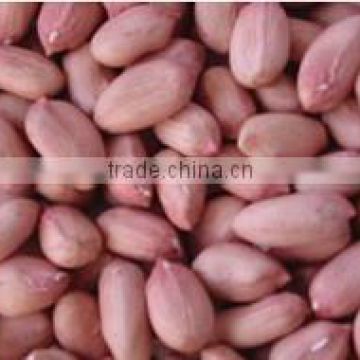 new crop cheap blanched peanut for sale , factory price