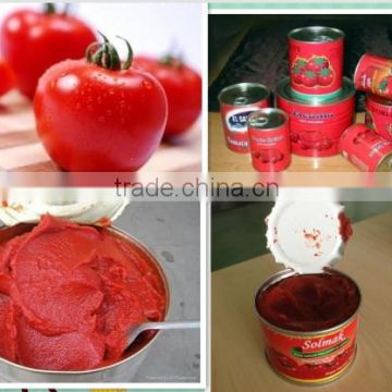 canned tomato paste with good quality