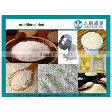 DP65 CE and BV certificate nutritional rice making machine, artificial rice extrusion line/making equipment in china