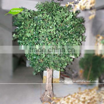 GNW BTR013 High quality green money tree for wedding party