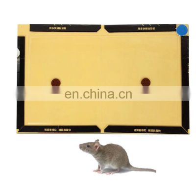 Pest control mouse lures Rat attractant sticky glue mouse rat trap