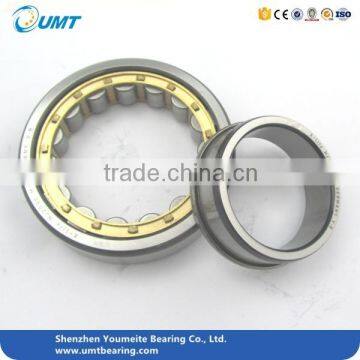 45X100X25 Cylindrical Roller Bearing NJ309V