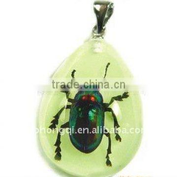 Green Amber Insect Specimen Pendant