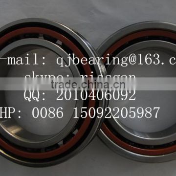 bearing 13061970