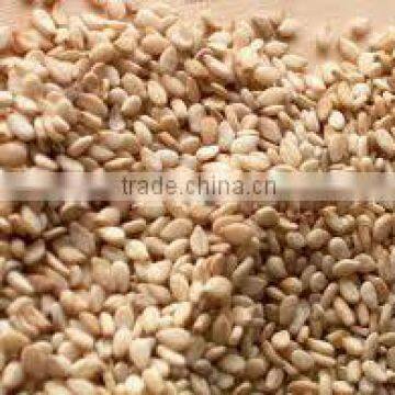 Natural Roasted Sesame Seed Sortex Clean