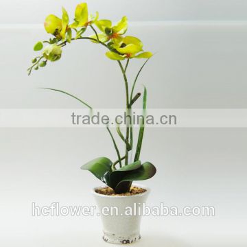 beauty silk flower moth orchid for wedding decoration