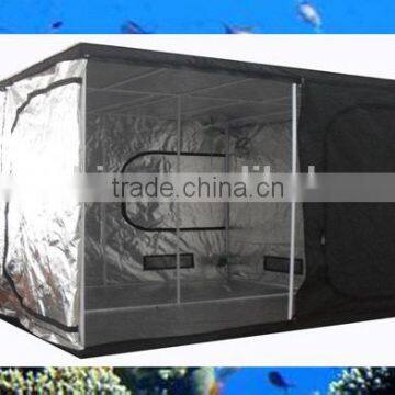 240x240x200cm 96"x96x"x78" greencultured grow tent