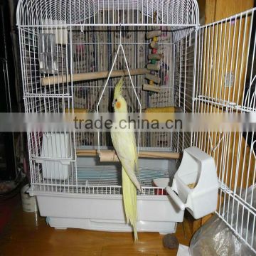 bird cage by plastic