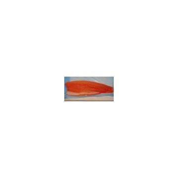 Sell Chilean Salmon Trout (Chile)