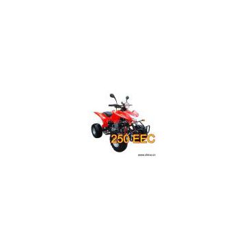 Sell 250cc EEC Approved ATV